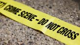 Una niña de 12 años mata a su prima, de solo 8, tras pelearse por un teléfono móvil en Tennessee
