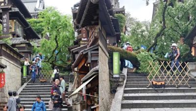 京都清水寺「產寧坂」櫻花樹倒 壓傷6旬男