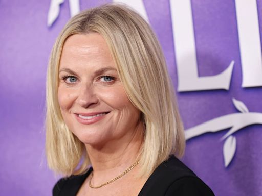 Amy Poehler Is Reportedly Dating a New York Times Editor Turned Podcast Overlord