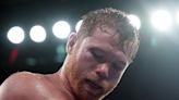 Combat Sports Today: UFC 301 or Canelo PPV? Alex Perez's Ceiling, Plus Another Bad Boxing Non-Stoppage