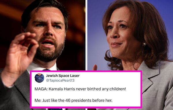 J.D. Vance Called Kamala Harris A "Childless Cat Lady," And The Backlash From Women Is Why I Love The Internet