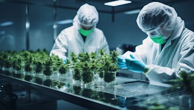 Tilray Brands, Inc. (TLRY): Is It the Best Pot Stock to Buy Now?