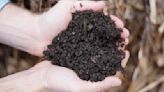 The next 'natural' step in waste removal? Composting. Here's how some Berkshire towns turn those egg shells into a money-saving resource