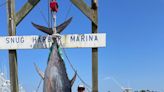A South Kingstown crew's monster tuna takes top prizes in Boston Bluefin Classic
