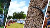 14th Ka’u Coffee Festival starts today on Hawaii Island