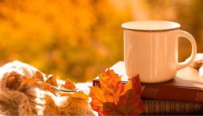 10 Must-Read Cozy Fall Books Including BookTok Sensation 'The Pumpkin Spice Cafe': Our Full List