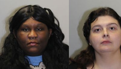 Ledyard police say women tried to get them to take ‘abandoned animals’