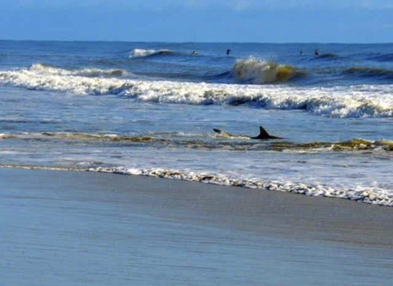 Shark bites Missouri teen in Daytona Beach Shores, 4th incident in 6 days