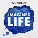 Imagined Life