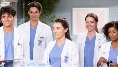 Grey's Anatomy: Fan Favorite Actor Exiting After Two Seasons