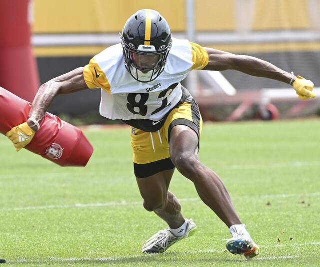 Steelers A to Z: Dez Fitzpatrick an option few are talking about for role in WR corps