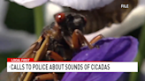 South Carolina residents confuse cicadas' mating calls for warning sirens