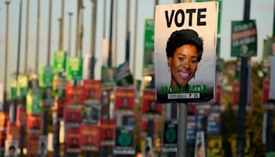 As South Africa election nears, one candidate ditches political parties to go it alone