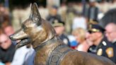 'He gave his all every time we went out.' Statue dedicated to fallen Braintree police dog