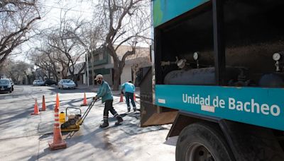 Semana de trabajos de arbolado y bacheo en la Ciudad | Sociedad