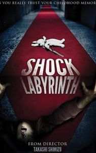 The Shock Labyrinth