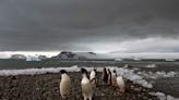 Incluso la Antártida se ve golpeada por fenómenos climáticos extremos, según los científicos