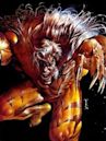 Sabretooth (character)