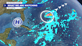 First Tropical Disturbance reported in the Southeastern Atlantic