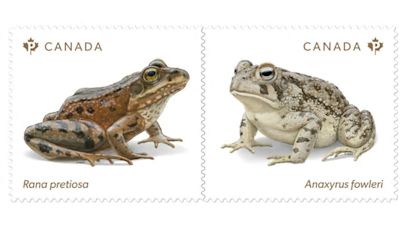 Endangered frogs featured on new Canada Post stamps