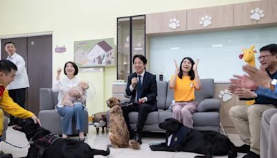 確認過眼神！賴清德領養斷肢犬「斑斑」