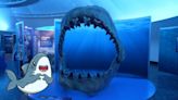 Conoce los secretos de los tiburones en esta expo en el Museo de Historia Natural