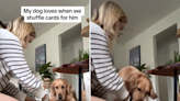 Card shuffling trick blows dog's mind: "Deal him in"