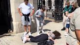 Tourist hits pavement after being 'headbutted' by King's Guard horse