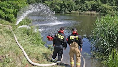 Brandenburg Oder-Abzweig: Viele tote Fische im Gleiwitzer Kanal in Polen entdeckt