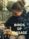 Birds of Passage