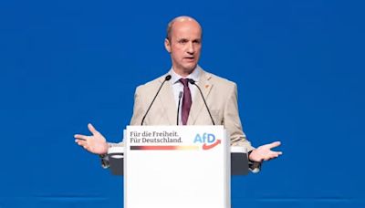 EU-Parlamentarier Nicolaus Fest (AfD): „Wenn die Wahl schlecht ausgeht, wird es für die Parteiführung eng“