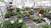 Plant party: Clark County plant sales have all the green you need