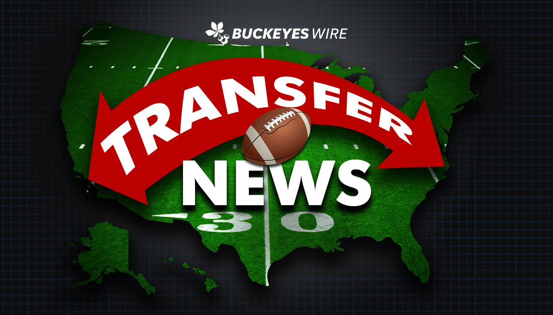 Ohio State football lands South Carolina safety transfer
