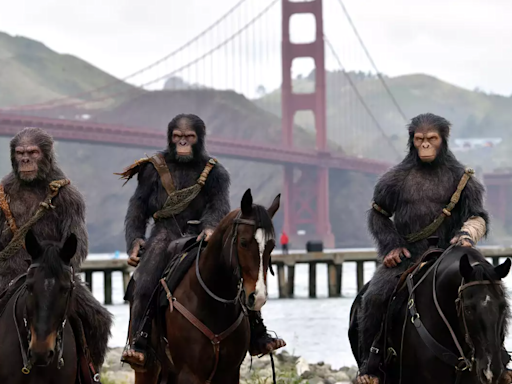 Costumed apes ride on horseback near San Francisco's Golden Gate Bridge