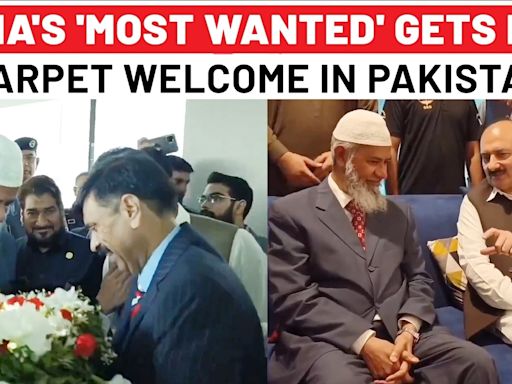 After Jaishankar Exposes Pakistan, Radical Fugitive Zakir Naik Gets Grand Welcome In Islamabad