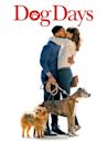 Dog Days (2018 film)