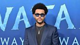 The Weeknd Receives 2022 Allan Slaight Humanitarian Award For Social Activism