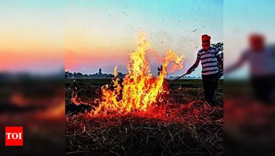 Centre allocates over ₹1,681cr to Punjab for stubble burning control in 7 years | Chandigarh News - Times of India