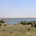 Lake Pueblo State Park