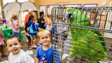 Humane Society of San Bernardino Valley offers Critter Camp in June