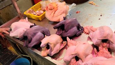 北市抽驗生鮮禽肉及蛋品 7件動物用藥殘留超標 | 蕃新聞