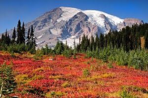 Scenic Stevens Canyon Road in Mount Ranier reopens following a two-year rehab project