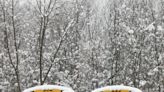 North Jersey schools announce delayed openings for Wednesday, Jan. 17. Check the list
