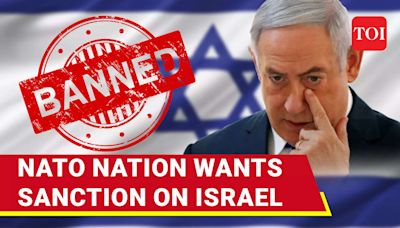 NATO Nation On Warpath Against IDF's Rafah Massacre; 'Sanction Israel For...' | TOI Original - Times of India Videos