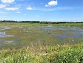 Shiawassee National Wildlife Refuge