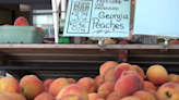 With no local supply, B.C. farm markets forced to import stone fruit from the U.S.