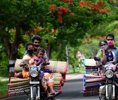 A boulevard of neem and tamarind trees in Pollachi serve as guardians of a thriving bio-diversity