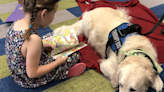 Reading with therapy dogs