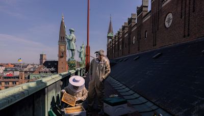 Ciudades que luchan por mantener su esencia: de los comercios tradicionales de Madrid a los techos verdes de Copenhague