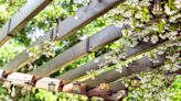 These Pretty Pergola Ideas Will Add Style and Shade to Your Backyard